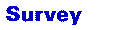 Survey