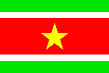 The Flag of the Republic of Suriname