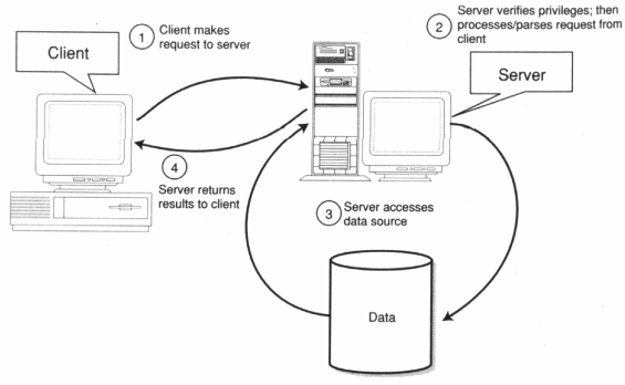 client server database model
