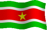 The Flag of the Republic of Suriname